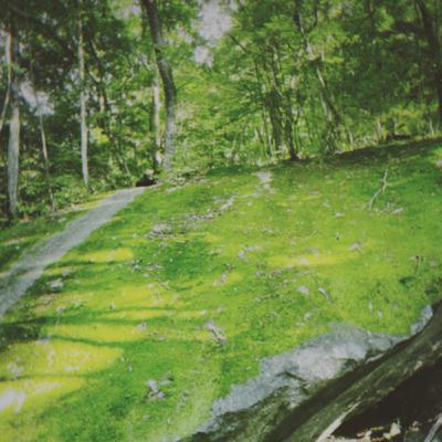 013 【ReFi】ゲスト:エロ男爵 価値の再定義で地球を救う。 013 【ReFi】ゲスト:エロ男爵 価値の再定義で地球を救う。