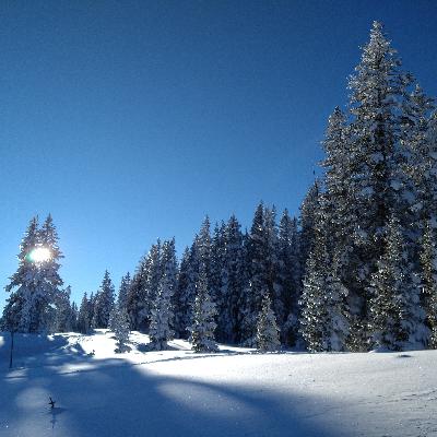 Behold, the Lamb of God! Episode 4, John 1:29-34 Behold, the Lamb of God! Episode 4, John 1:29-34