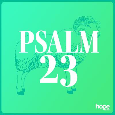 BONUS: The Entire Book of Psalms. In About 15 Minutes