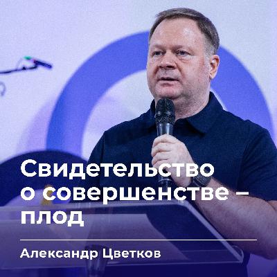 Свидетельство о совершенстве - плод | Александр Цветков | 10.12.25