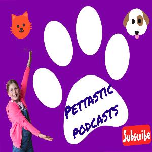 Pettastic Podcasts Episode 1: Dogs