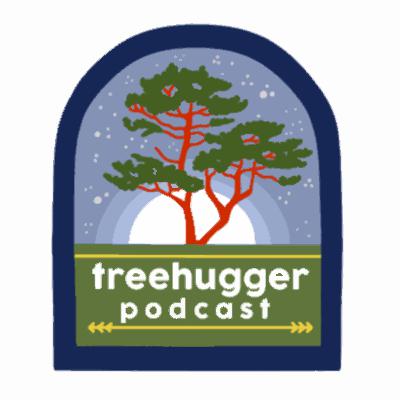 Urban Evolution with Liz Carlen