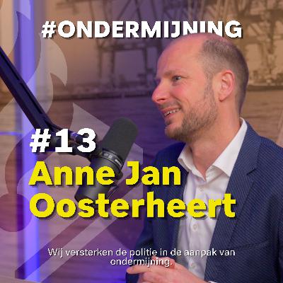#13 - Anne-Jan Oosterheert over Publiek-Private Samenwerking