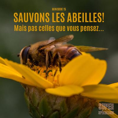 Sauvons les abeilles! Mais pas celles que vous pensez... - Minisode
