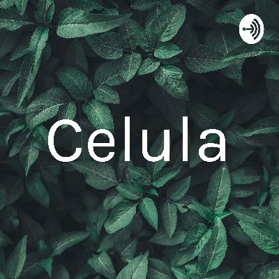 Célula 2
