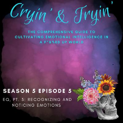 S5E5 - EQ, Pt. 3: Recognizing and Noticing Emotions