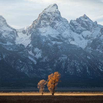 [모양만 가지고 능력은 부인한다]딤후3:1-9