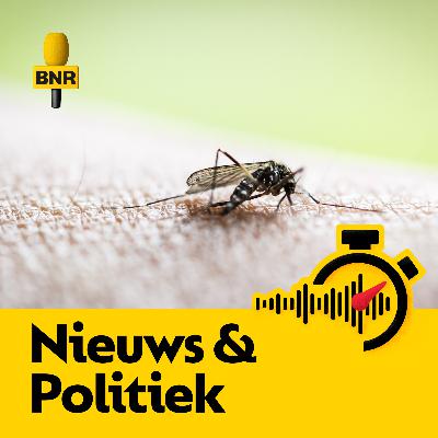 Tijgermug niet meer weg te slaan uit ons land, ‘zat er aan te komen’