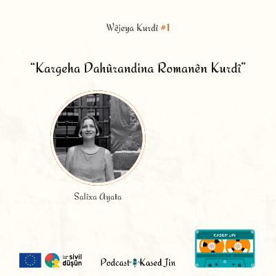 #1 Kargeha Dahûrandina Romanên Kurdî : Salîxa Ayata