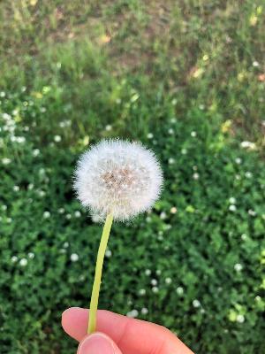 相談#3「パパと二人にすると大泣きします。どうやったらなつきますか？」 from Radiotalk