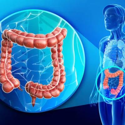 Large intestine function
