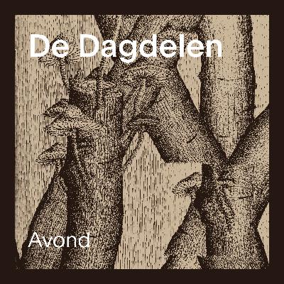 De Dagdelen: Afl 4 Avond De Dagdelen: Afl 4 Avond
