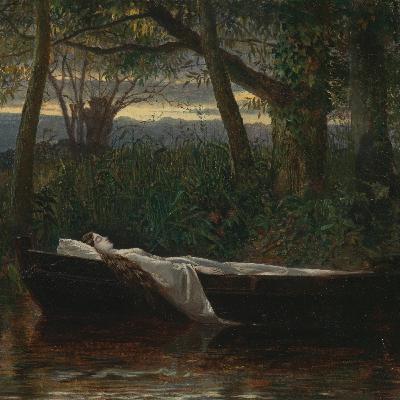 Episode 6 - Equilibria and autonomy Episode 6 - Equilibria and autonomy