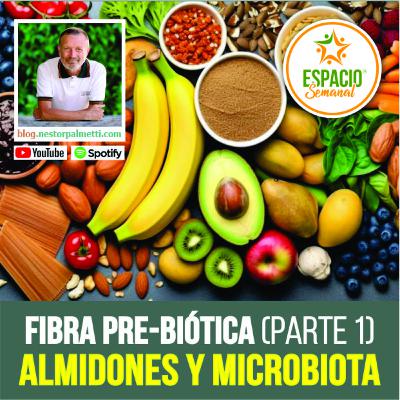 Almidones, Microbiota y Fibra (Parte 1)