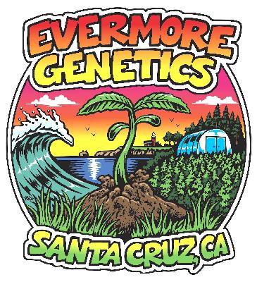Joe of Evermore Genetics (Santa Cruz, CA) Joe of Evermore Genetics (Santa Cruz, CA)