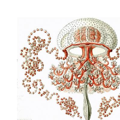 La República de las Letras: “Solaris” de Stanislaw Lem