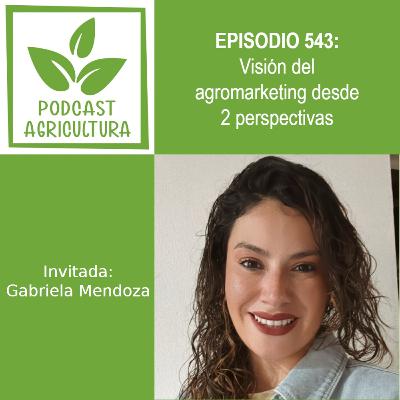 543 Visión del agromarketing desde 2 perspectivas con Gabriela Mendoza 543 Visión del agromarketing desde 2 perspectivas con Gabriela Mendoza