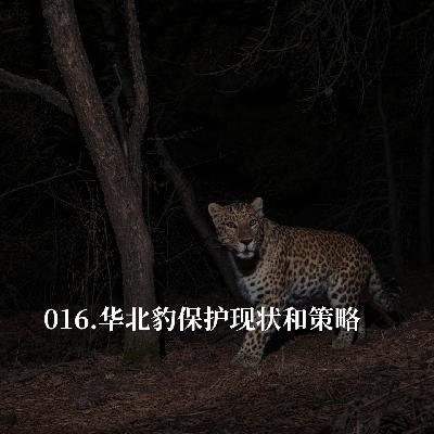 016.普通人怎么保护华北豹？