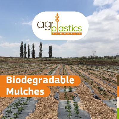 Biodegradable Mulches