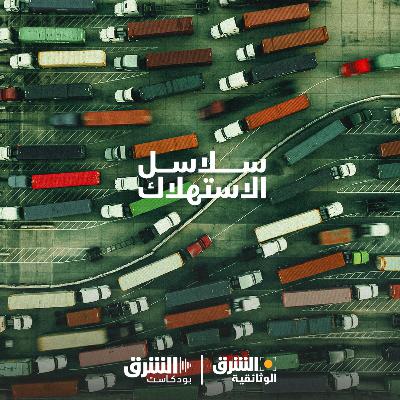 سلاسل الاستهلاك | عالم السيارات الخفي