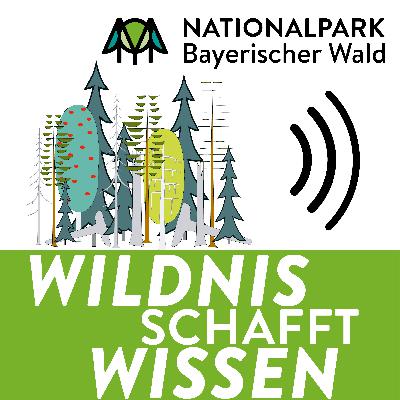 Wildnis schafft Wissen: Was macht eine Rangerin? Wildnis schafft Wissen: Was macht eine Rangerin?