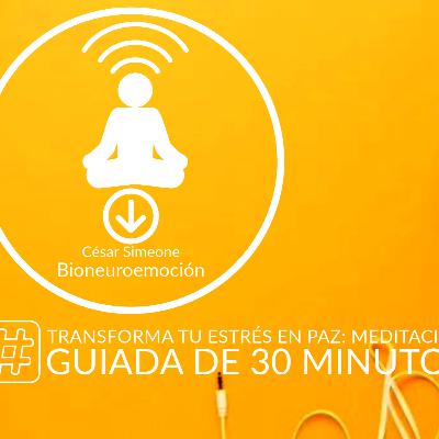 Transforma tu Estrés en Paz: Meditación Guiada de 30 Minutos para Relajación Profunda