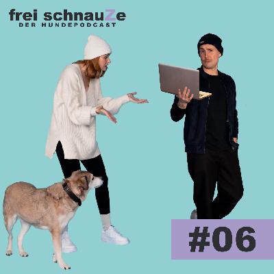 Ein Hund im Büüüro?