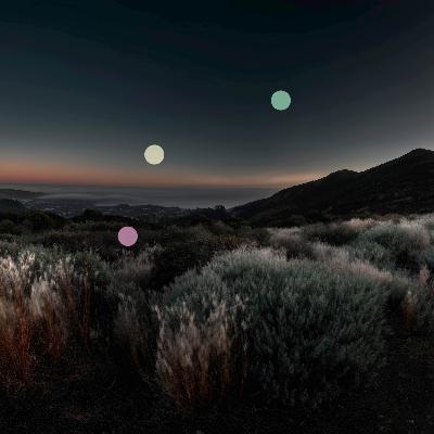 太平洋の黄昏に響くセミの声 | 夜のアンビエンス 太平洋の黄昏に響くセミの声 | 夜のアンビエンス