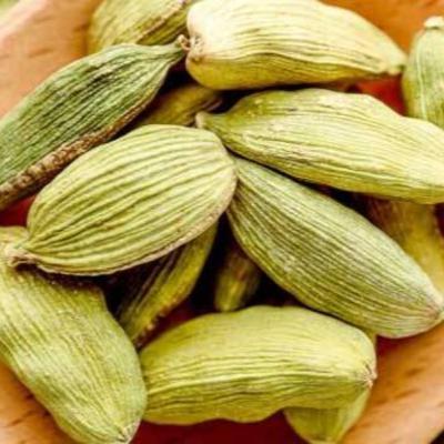 Polka w Indiach: o kasie, kaście i Kaszmirze