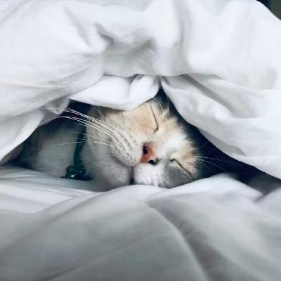 【冥想引导】瘦身+助眠减肥冥想——午休小憩&睡前