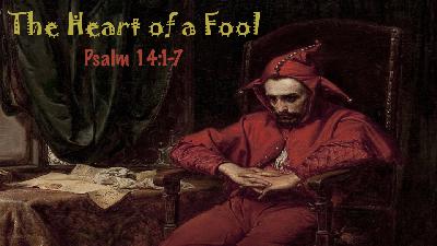 "The Heart of a Fool" - Joey Ferrell