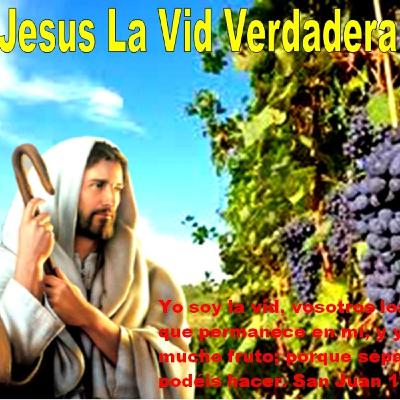 45-Jesús La Vid Verdadera.mp3