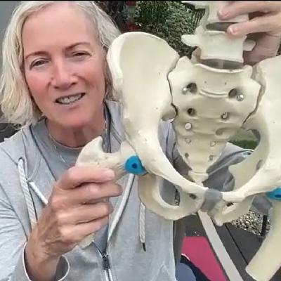 Episode 14: The Hip Joint Episode 14: The Hip Joint