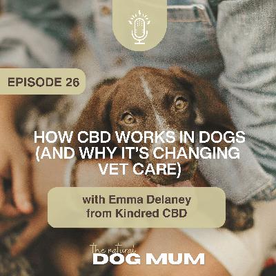 How CBD Works in Dogs (and Why it’s Changing Vet Care) with Emma Delaney from Kindred CBD