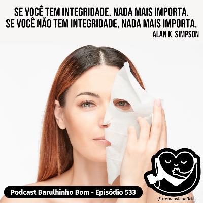 533 Integridade