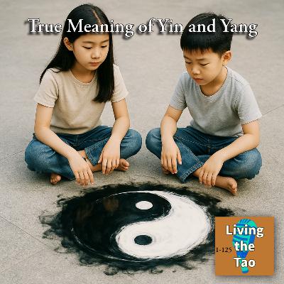True Meaning of Yin And Yang