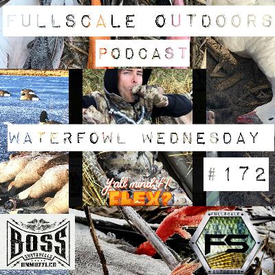 Waterfowl Wednesday #172
