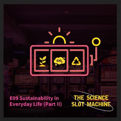 Sustainability in Everyday Life (Part II)