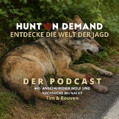 #45 Angefahrener Wolf und Nachsuche bei Nacht - Tim & Rouven - (Huntingroom & jagenNRW)