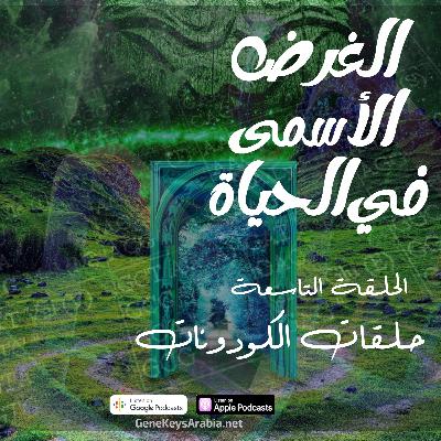 حلقة رقم 9-حلقات الكودونات حلقة رقم 9-حلقات الكودونات