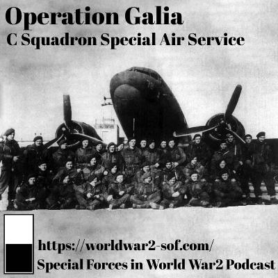 Operation Galia, C Squadron, 2 Special Air Service
