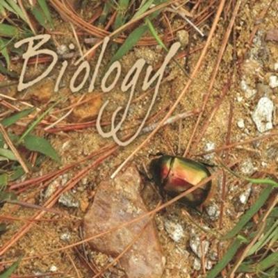 CH-12 MINERAL NUTRITION