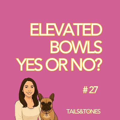 27: Dog Feeding Posture Explained: Elevated Bowls, Brachycephalic Dogs & What Vets Really Say 27: Dog Feeding Posture Explained: Elevated Bowls, Brachycephalic Dogs & What Vets Really Say