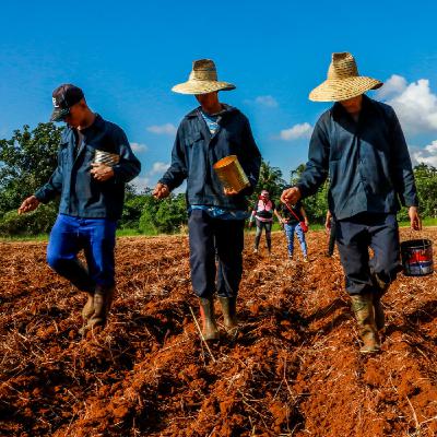 Dar el impulso que la tierra necesita