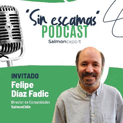 T3/C3: “Somos parte del entramado social del sur de Chile”