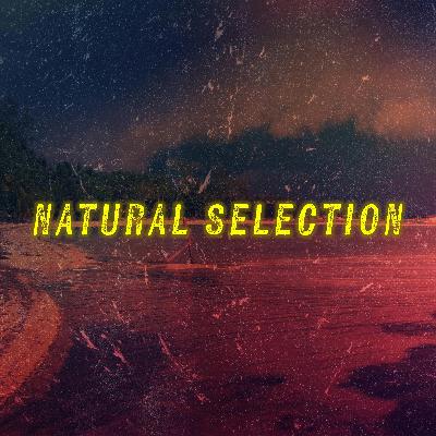 CERTIFIED PSYCHOPATH