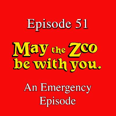 A heartfelt approach to dog training, training for connection not compliance with Vicki Main A heartfelt approach to dog training, training for connection not compliance with Vicki Main