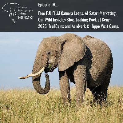 African Photography Safaris Podcast Episode 16 African Photography Safaris Podcast Episode 16