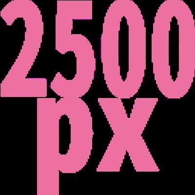 2500 x 2500
