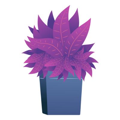 Capitulo 1 Planta Albaca